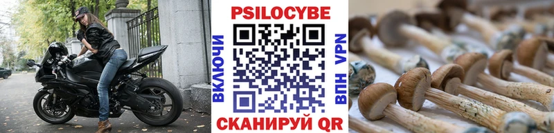 Галлюциногенные грибы мухоморы  Кадников 