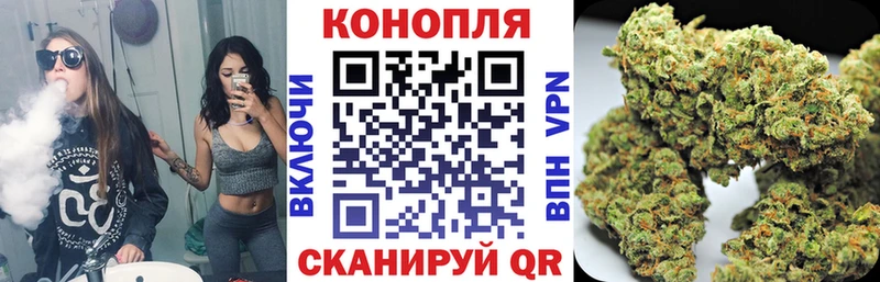 дарк нет клад  Кадников  Бошки марихуана OG Kush 
